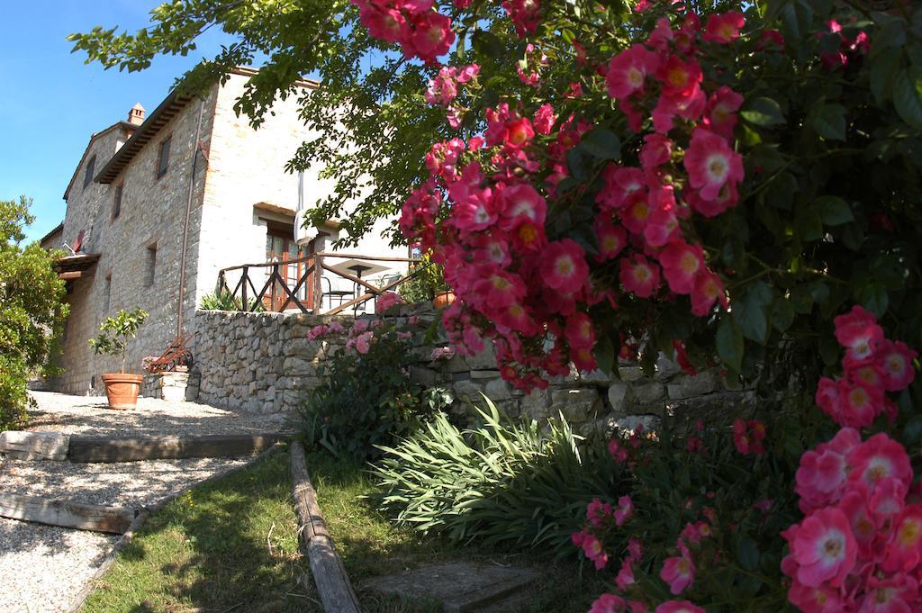 Collelungo Casa de hóspedes Castellina in Chianti Exterior foto