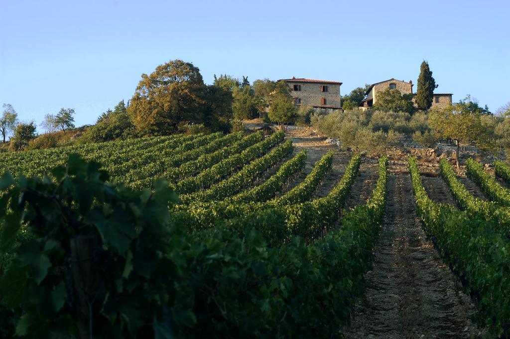Collelungo Casa de hóspedes Castellina in Chianti Exterior foto
